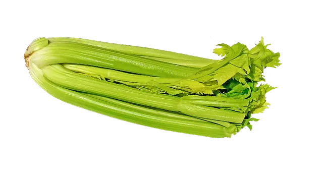Celer řapíkatý 1ks