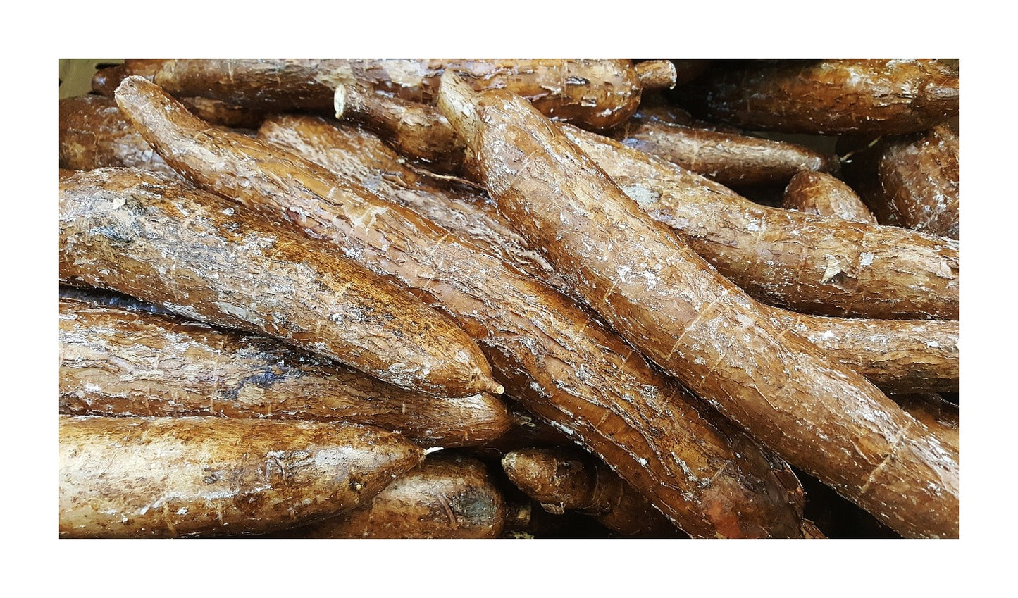 Maniok 1ks cca 0,5 kg