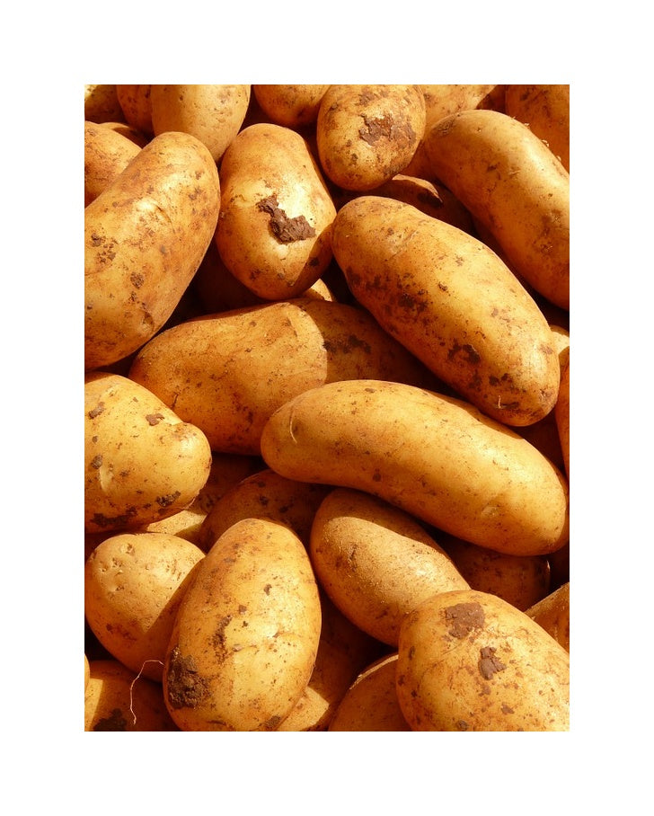Brambory na salát rohlíčky A vánoční 2 Kg