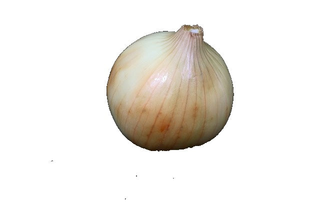 Cibule Bílá volná 0,5 kg