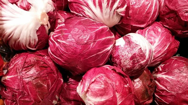 Radicchio cca 550g 2-3ks