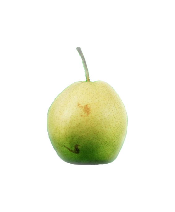 Hruška Nashi 1ks