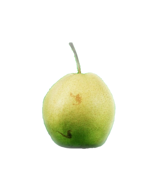 Hruška Nashi 1ks