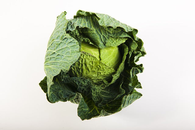 Kapusta cca 1,4 - 1,7kg