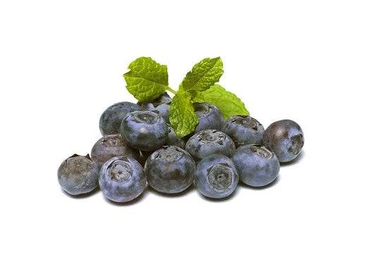 Borůvky kanadské vanička 125g