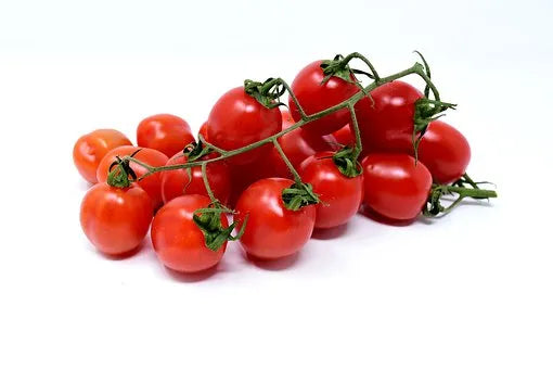 Rajčata koktejlová Brioso/Salus  0,4kg