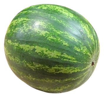 Meloun vodní 1ks (cc 7-8kg)