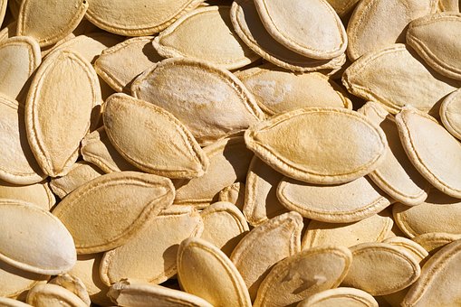 Dýňové semena neloupané solené 200g