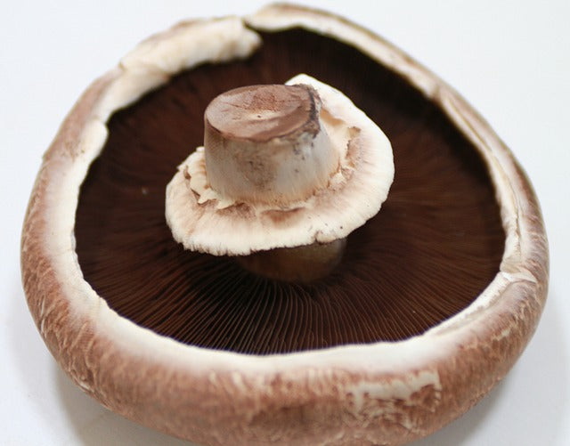 Žampiony Portobello čerstvé 400g