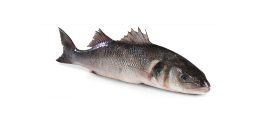 Vlk mořský chlazený cca 550 g